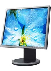 Monitor 19